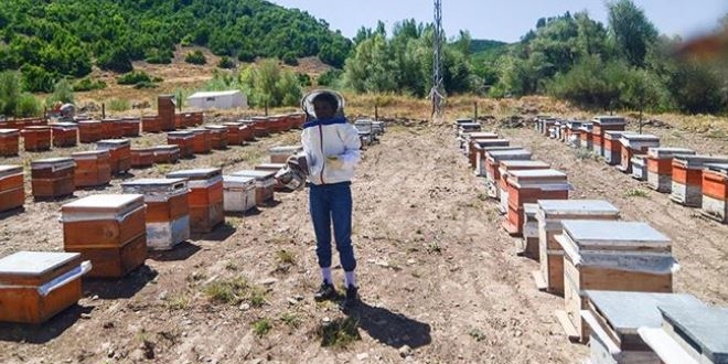 Devletin desteği ile başladı, ekonomiye katkı sağlıyorlar