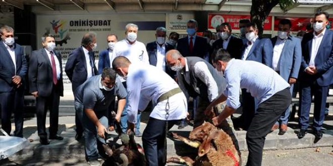 'Doğal gaz müjdesi'ne kurban kesildi