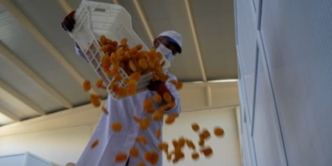 Pilotlu�u b�rakt�, devlet deste�iyle kendi i�inin patronu oldu