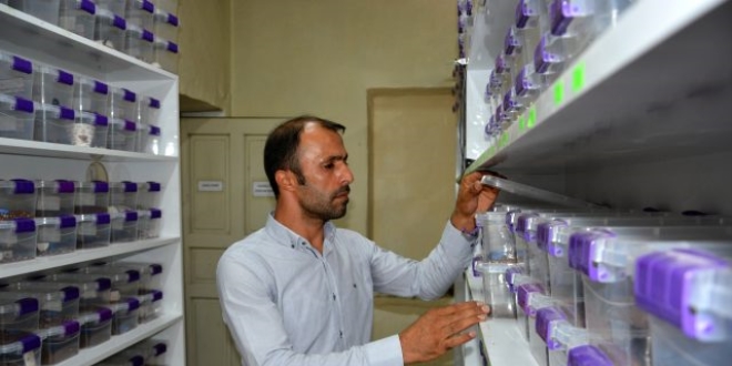 Malatyalı girişimci, ilaç sanayisi için akrep yetiştiriyor