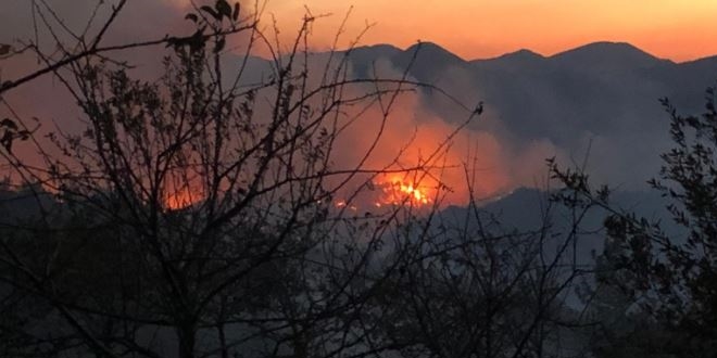 Adana'da orman yangını: Tedbiren 6 köy boşaltıldı