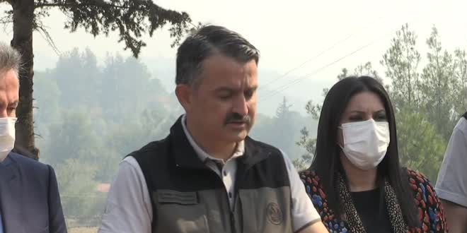 Bakan Pakdemirli: Adana Kozan'daki orman yangını kontrol altına alındı