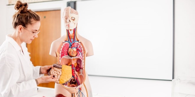 Yakın gelecekte organ yetmezliği tarihe karışacak