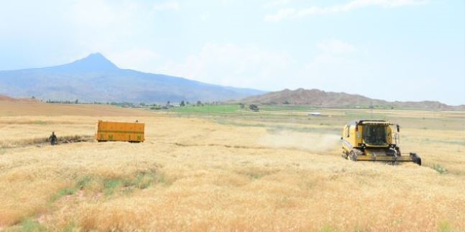 Terk edilen tarım arazileri çevrim içi toplantıda görüşüldü