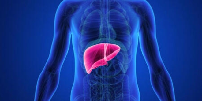 Karaciğer hastalıklarının tanısında 'fibroscan' dönemi