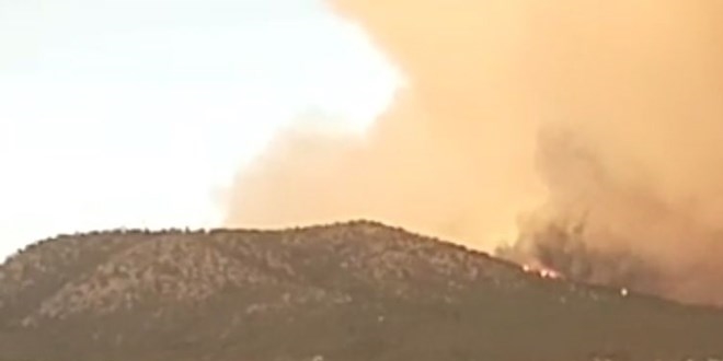 Bakan 'Nallıhan'daki yangının kontrol altına alındığını' açıkladı