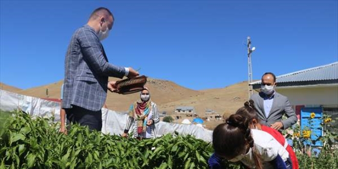 Öğretmen çift, oluşturdukları bostanla okulun ihtiyaçlarını gideriyor