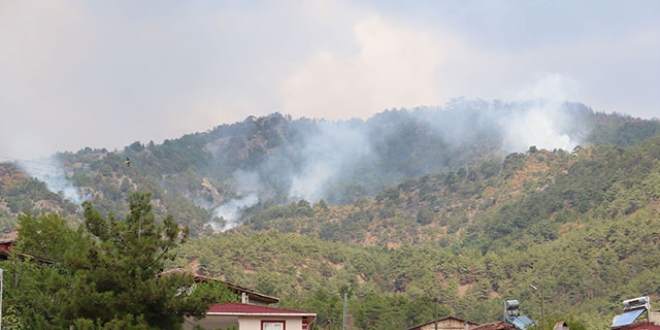 Sinop-Çorum arasında çıkan orman yangını sürüyor