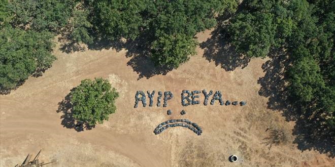 Mesire alanında toplanan çöplerle piknikçilere esprili tepki