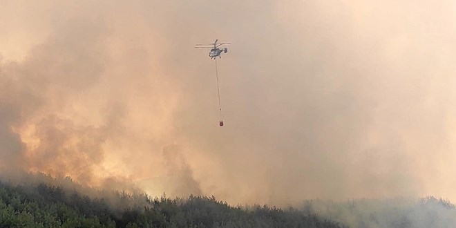 Hatay'daki orman yangınıyla ilgili gözaltına alınan şahıs serbest