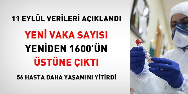 Yeni vaka says yeniden 1600 stne kt