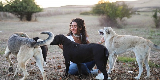 Kabin memuru, sokak hayvanlarn elleriyle besliyor