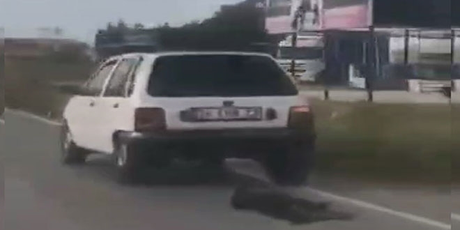 Otomobile bağladığı köpeği metrelerce sürükledi