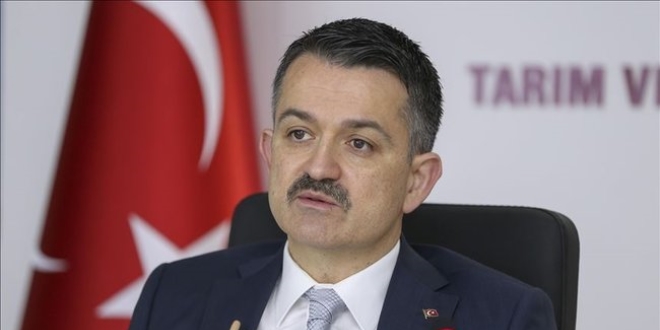 Pakdemirli: Antalya'daki yangınlarının yerleşim yerlerine tehdidi yok