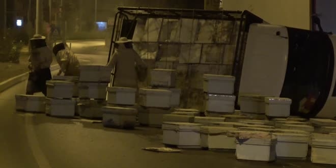 Mersin'de arı kovanı taşıyan kamyon kaza yapınca arılar etrafa saçıldı