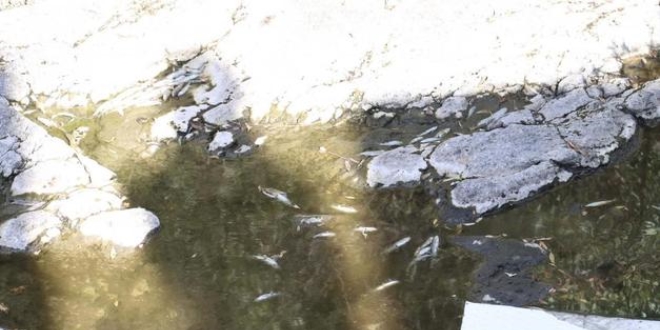Mera Çayı'na atık yağ bırakan firmaya ceza kesildi