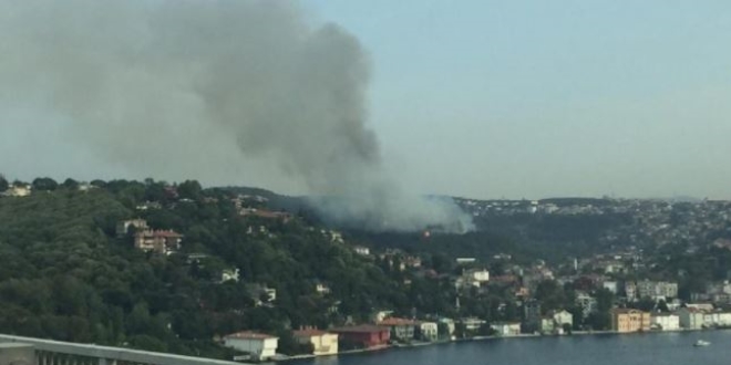 Anadolu Hisarı'nda orman yangını