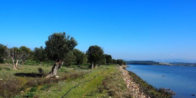 Şerif Ali Hatırlı: Çiçek Adası satılık değil