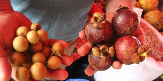 Tropik meyveler cep yakıyor... Kilosu 350 TL