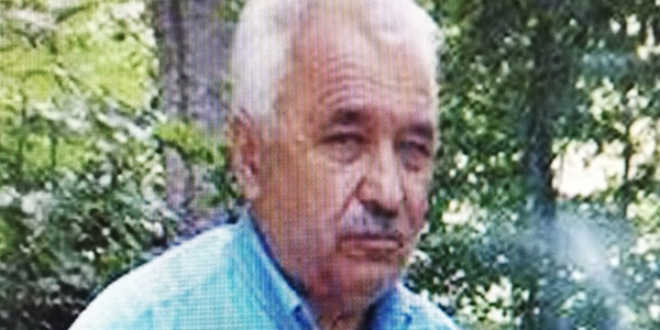 Oğlunun kestiği ağacın dalı başına düşen adam öldü