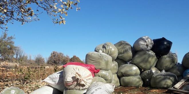 Terörün finansı uyuşturucuya Diyarbakır'da büyük darbe