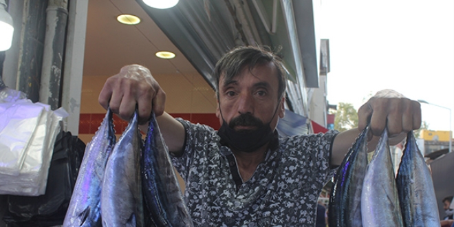 Vatandaşlar palamut stokluyor