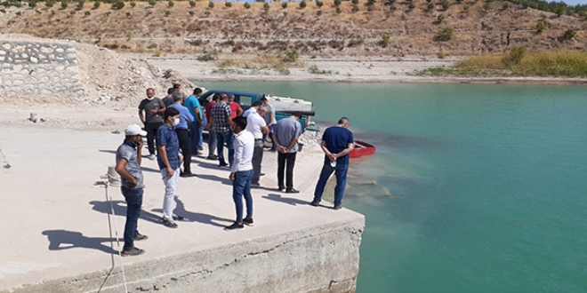 Atatürk Baraj Gölü'ne 300 bin balık yavrusu bırakıldı