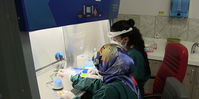 Elbistan'da Kovid-19 testleri için PCR laboratuvarı kuruldu