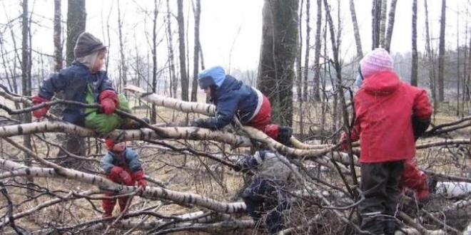 lkokul rencileri doay 'Orman Okulu'nda renecek