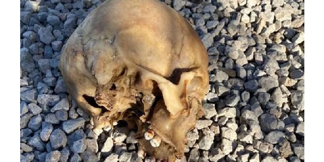 Köpeklerin bulduğu kafatası olayında 4 gözaltı
