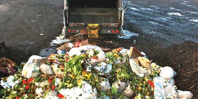 YEP'te gda israf: rettiimizin bete biri israf oluyor