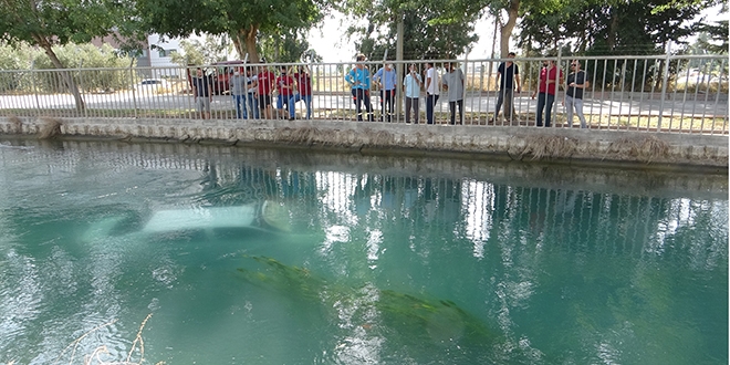 Sulama kanalnda lmekten kurtulan imam bu kez iki can kurtard