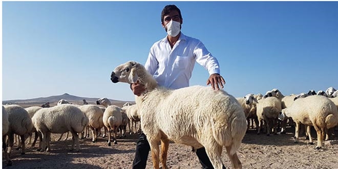 Müdürlüğü bıraktı, çiftçi desteğiyle sürü sahibi oldu