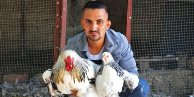 Hobisiydi, geim kayna oldu