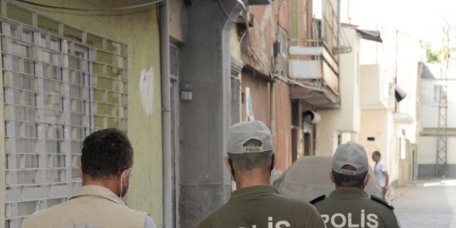 Adana'da pitbull operasyonu: İki köpeğe el kondu