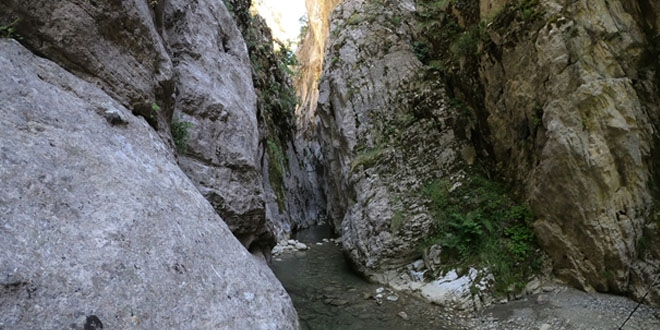 Akdeniz'de güzel bir yayla... Melikler