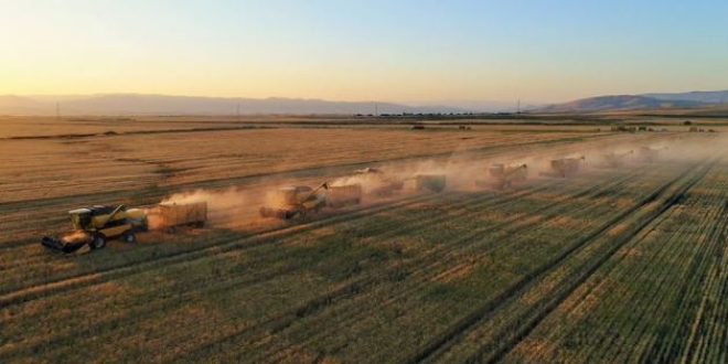 Pandemi sonrası ülkeler buğday stoklama yarışına girdi