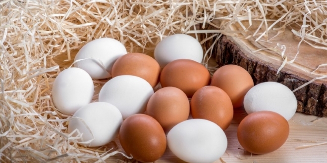 Yumurta fiyatlarndaki nlenemez ykseli devam ediyor