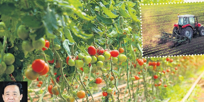 'Koronavirüs açlık riskini artırdı'