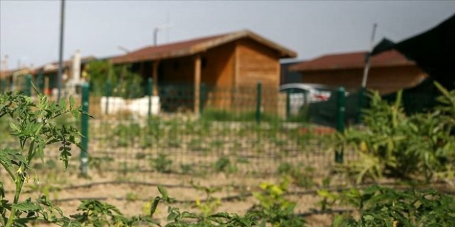 'Hobi bahçeleri' ile ilgili yeni bir çalışma yapıyoruz'