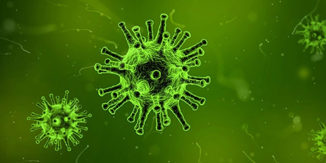 Koronavirüs ile D vitamini eksikliği arasındaki ilişki bir kez daha teyit edildi