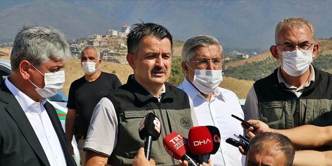 Bakan Pakdemirli orman yangının kontrol altına alındığını açıkladı