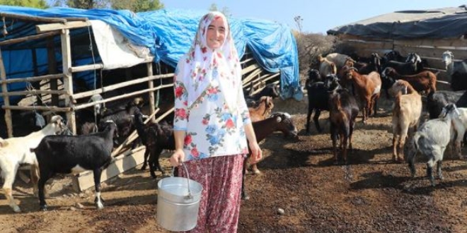 Kent yaşamından vazgeçip ekonomik refahı besicilikte buldu
