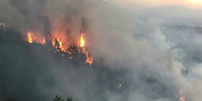 Başsavcılıktan Hatay'daki orman yangınıyla ilgili açıklama