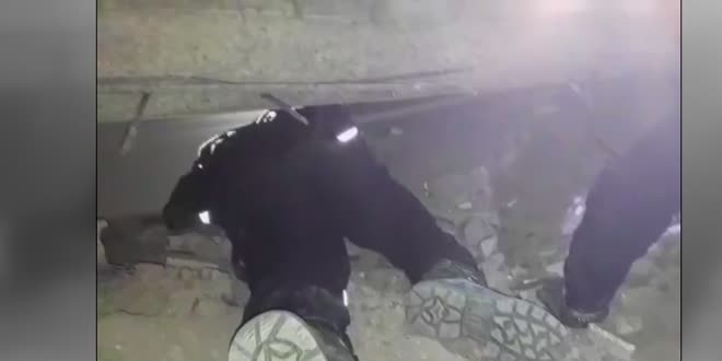 İzmir'de enkazın altında kalan kedi kurtarıldı