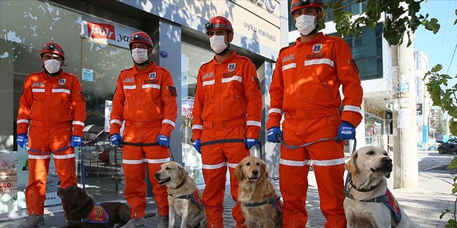 Hassas burunlarıyla enkaz altındakileri hayata bağlıyorlar