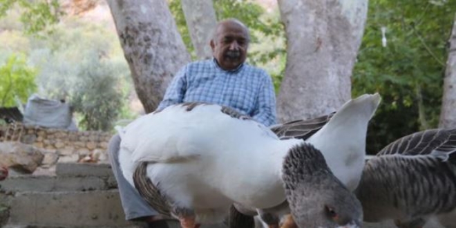 Araştırma için geldiği köyden 15 yıldır ayrılamıyor