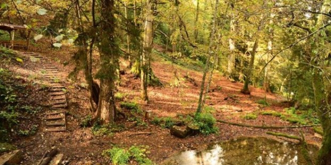 Giresun'un tabiat parkları güz renkleriyle büyülüyor