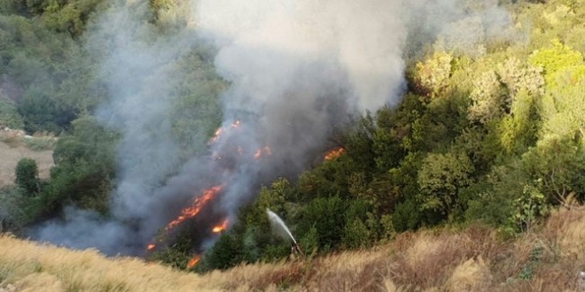 �zmir'de orman yang�n�! Ekipler b�lgede