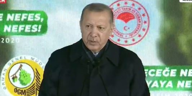 'Fidan dikme seferberliğimiz dalga dalga diğer ülkelere yayılıyor'